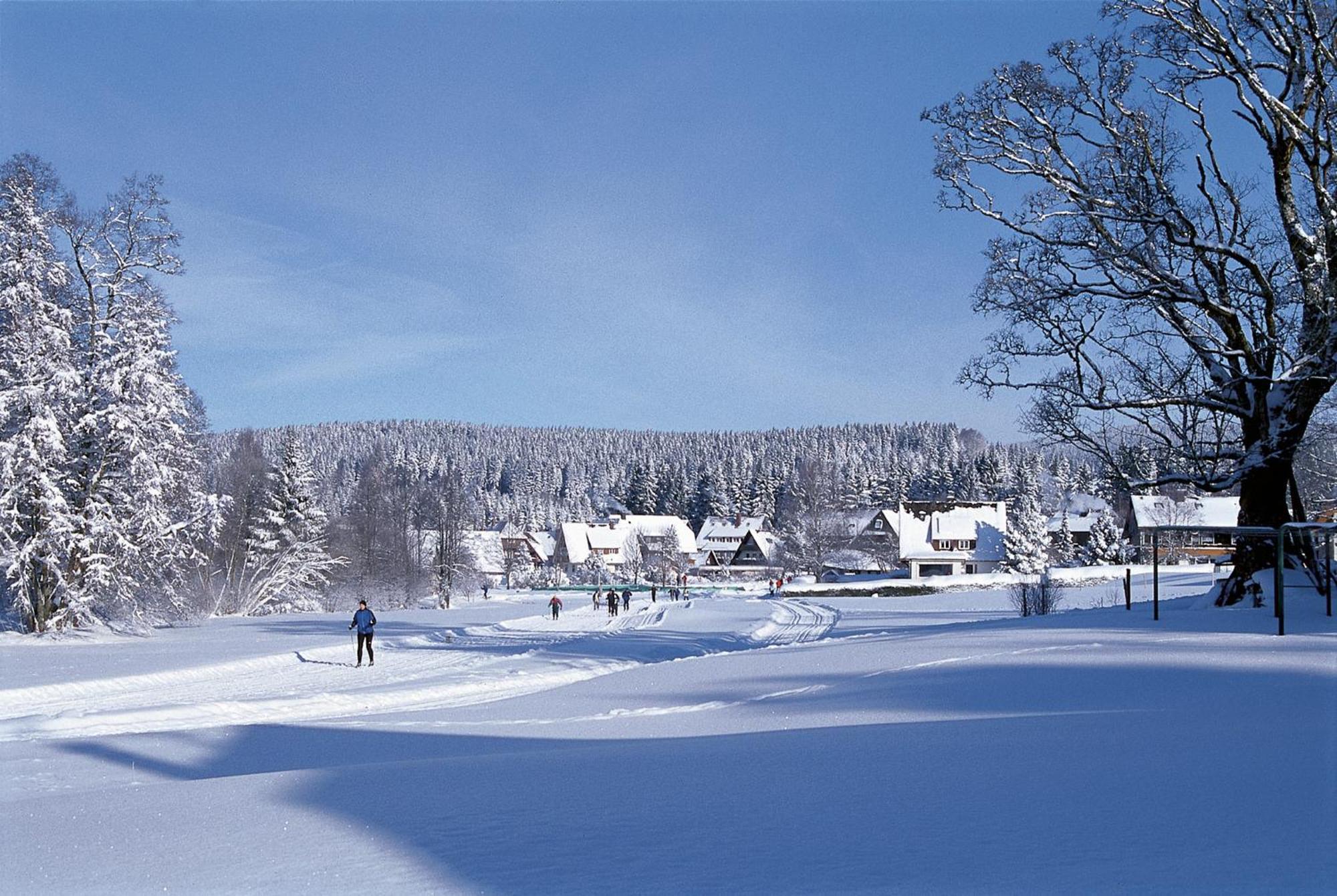 Drei Tannen - Wohnung 04 - Apartmenthaus, Titisee, Nahe Badeparadies 外观 照片