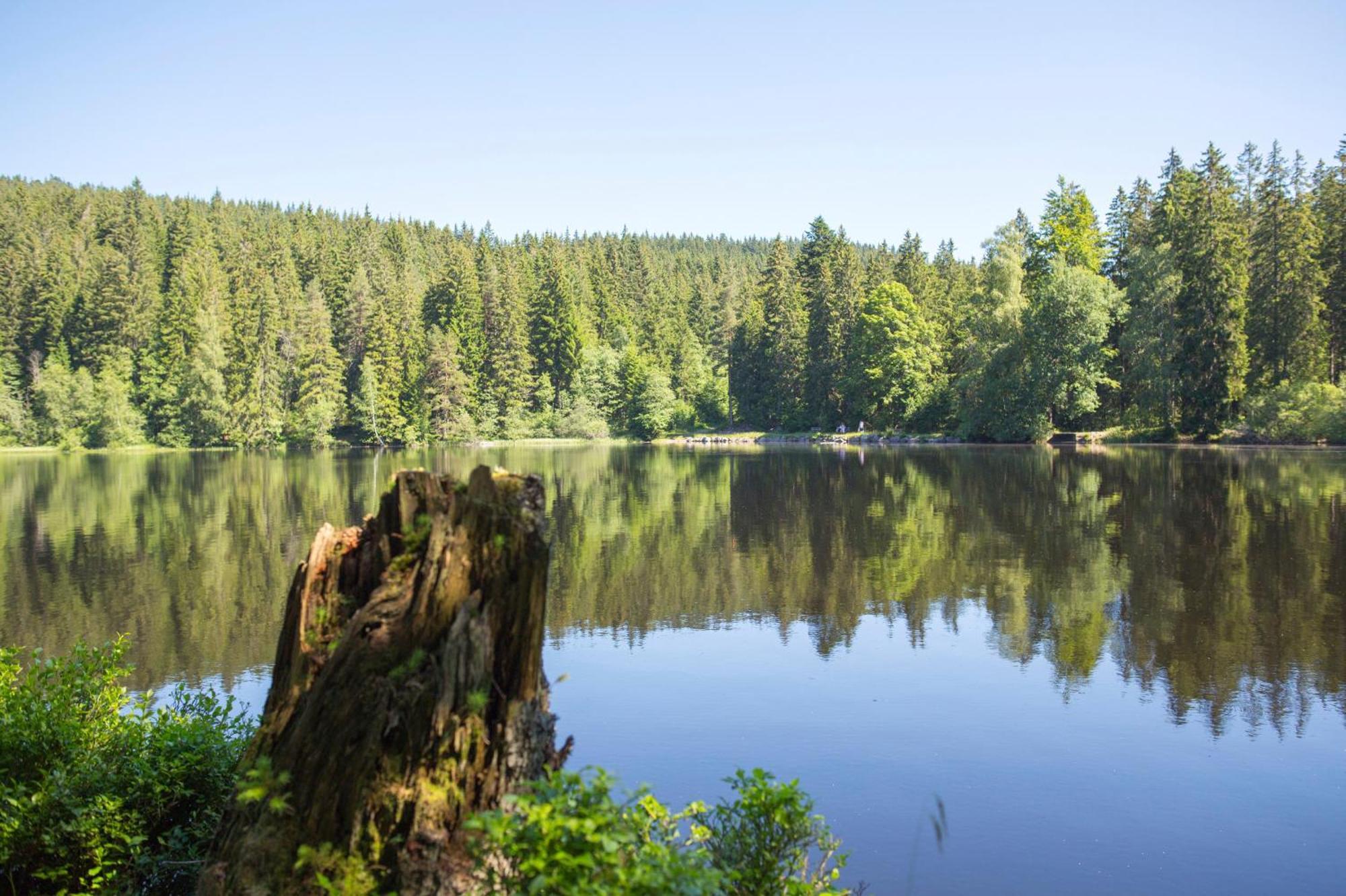 Drei Tannen - Wohnung 04 - Apartmenthaus, Titisee, Nahe Badeparadies 外观 照片