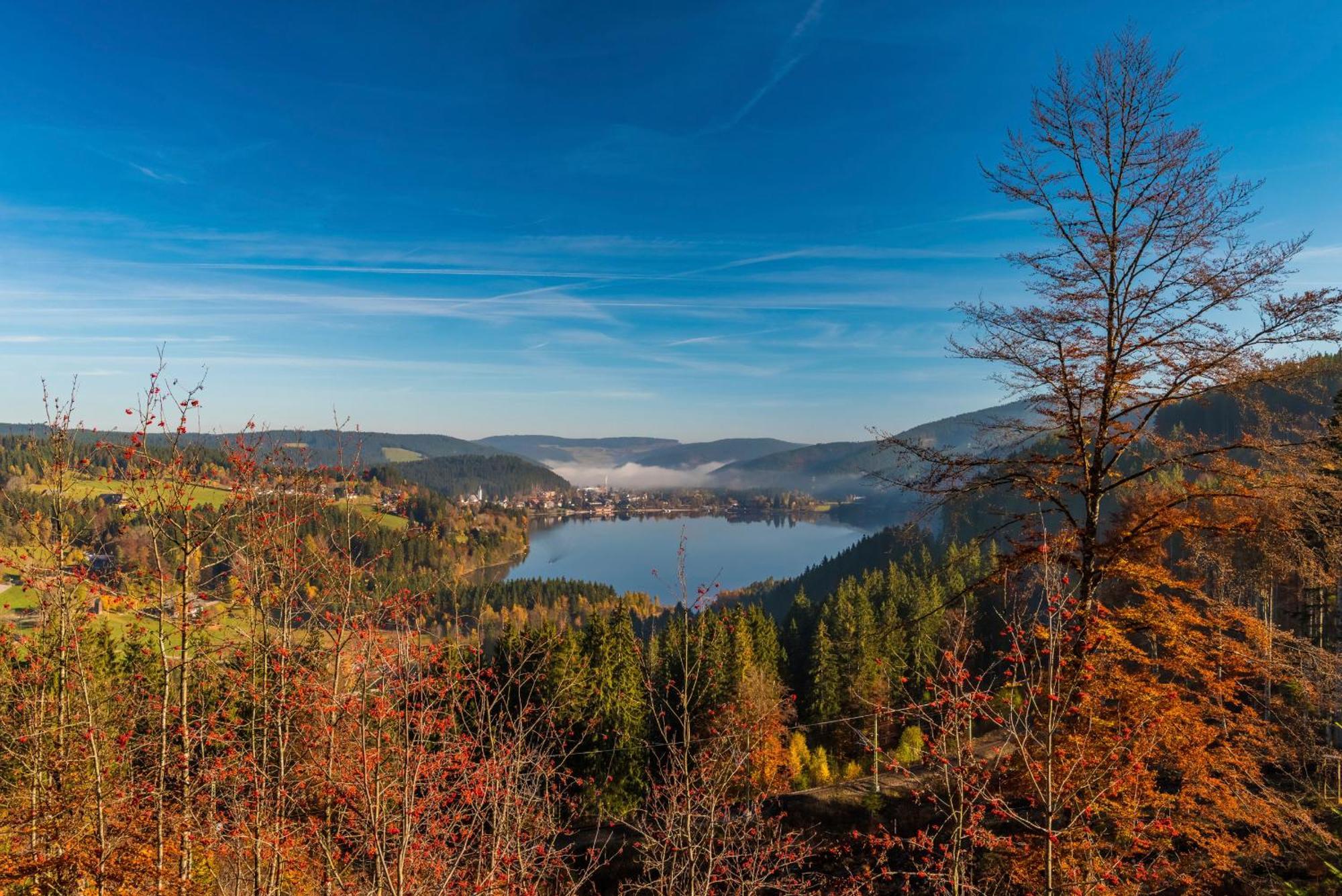 Drei Tannen - Wohnung 04 - Apartmenthaus, Titisee, Nahe Badeparadies 外观 照片