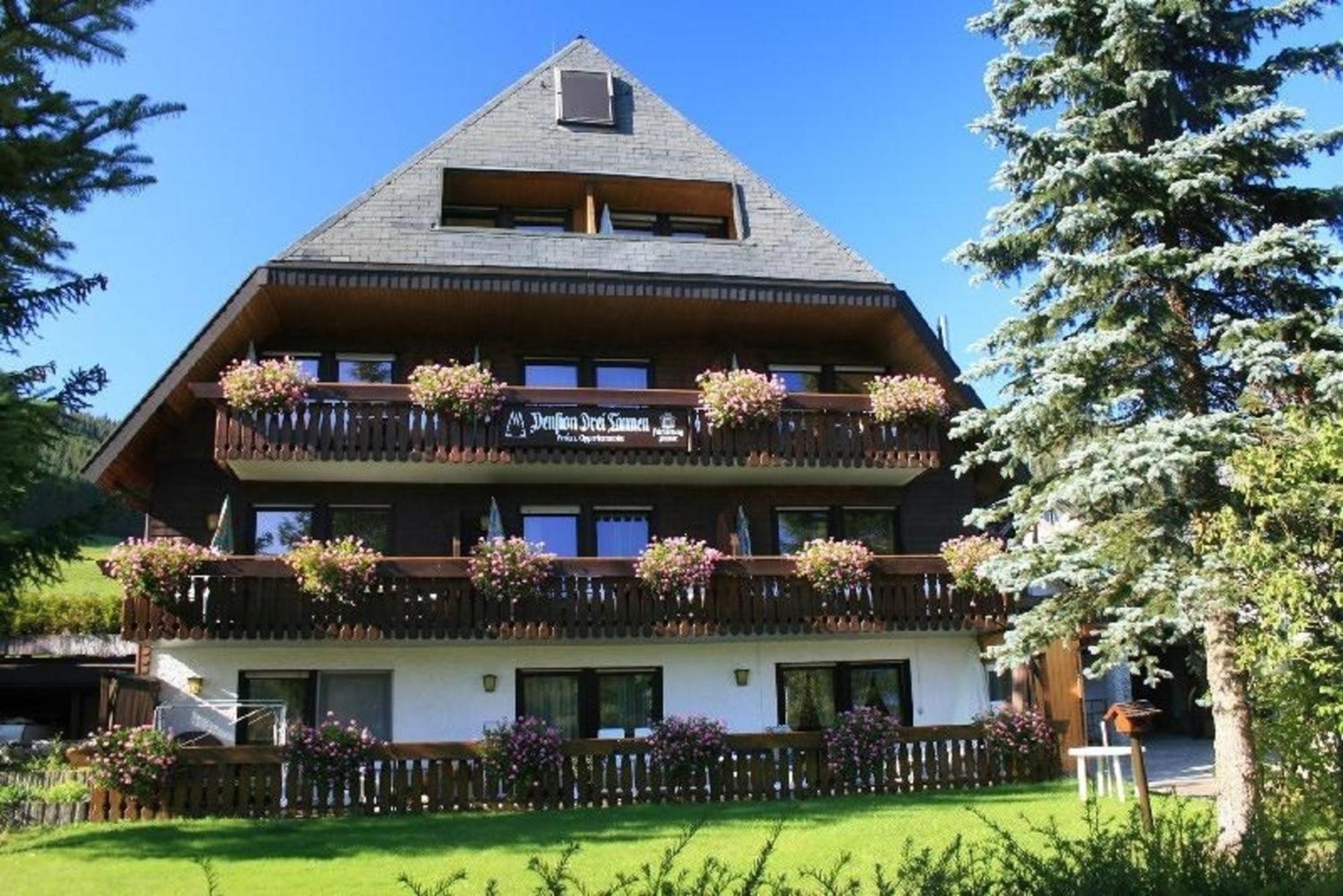 Drei Tannen - Wohnung 04 - Apartmenthaus, Titisee, Nahe Badeparadies 外观 照片